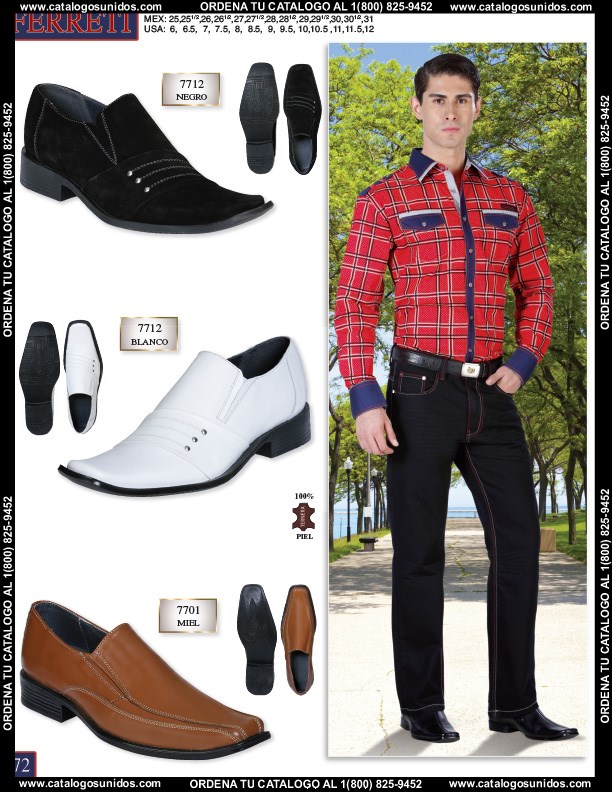 Ferreti2014 (Page 72)